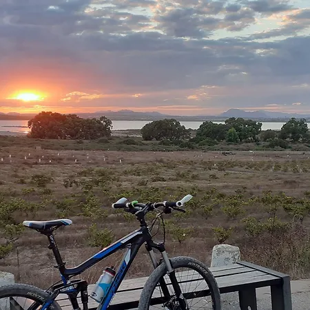 Lloyds Club Torrevieja