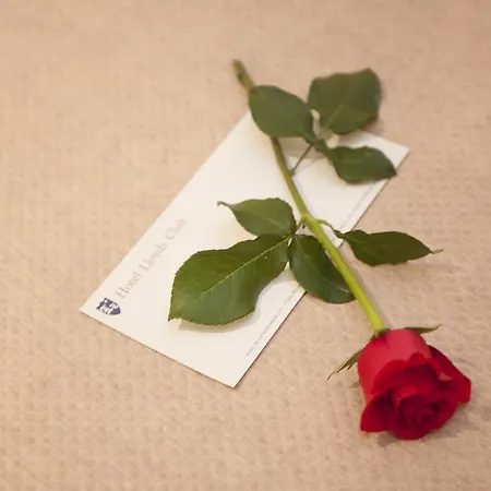 Lloyds Club Torrevieja