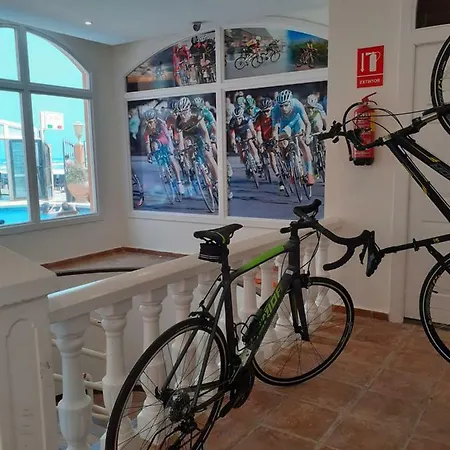 Lloyds Club 3* Torrevieja