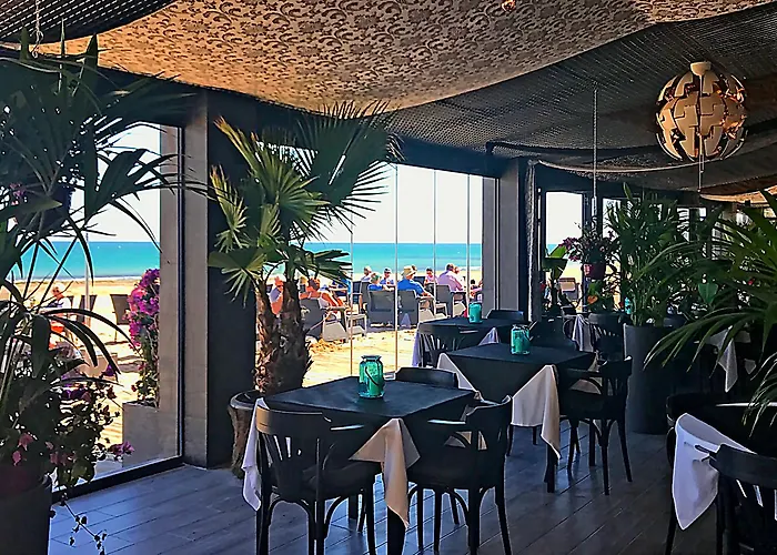 Lejlighedshotel Lloyds Club Torrevieja