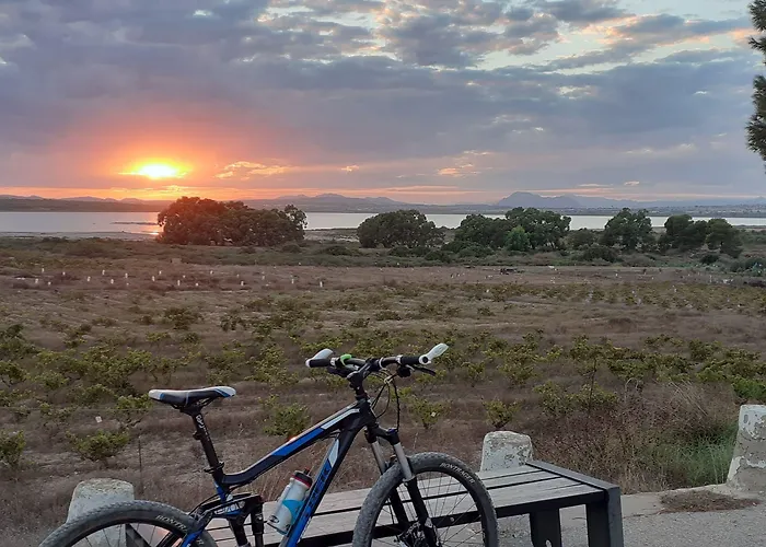 Lloyds Club Torrevieja