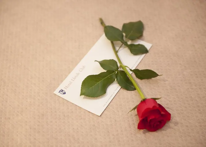 Lloyds Club Torrevieja