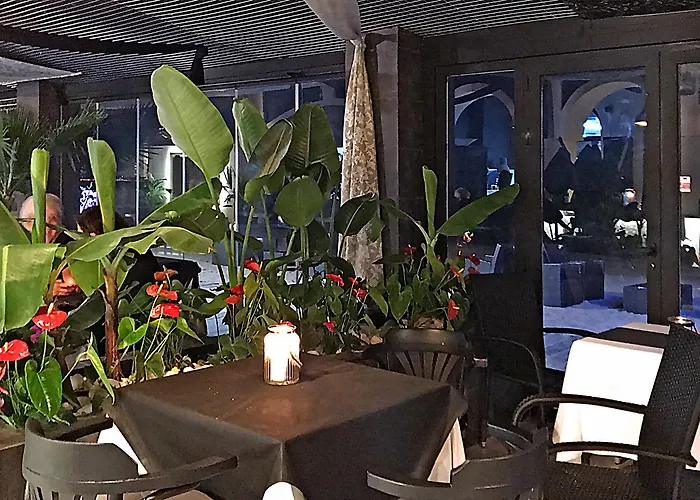 Lloyds Club Torrevieja